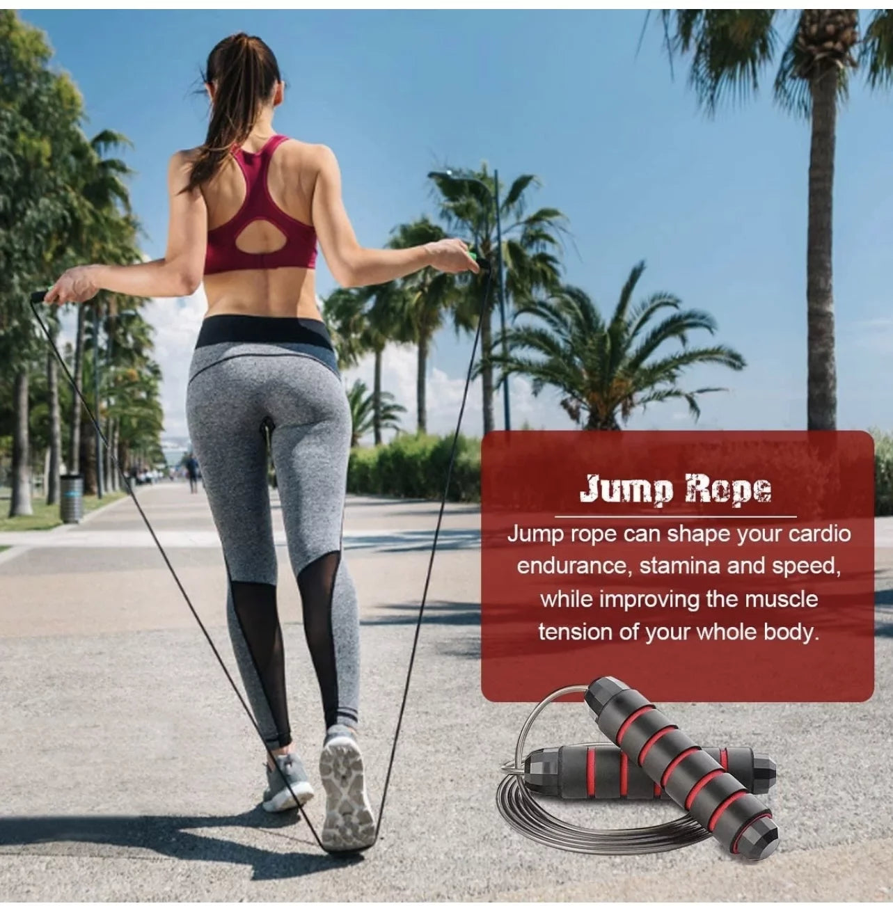  Ab Roller Wheel 